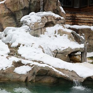otter exhibit