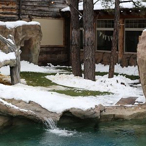 otter exhibit