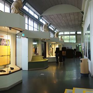 Educational displays in the ape wing (Nov 10th, 2018)