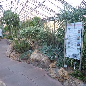 Unteres Kakteenhaus 011218