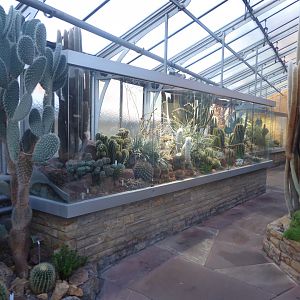 Unteres Kakteenhaus 011218
