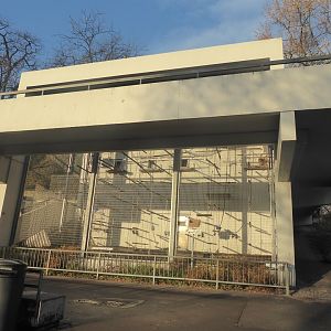 Lar gibbon enclosure 011218