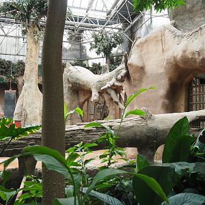Asian elephant indoor housing in Taman Indah (Nov 10th, 2018)