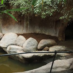 Indian rhinoceros indoor housing in Taman Indah (Nov 10th, 2018)
