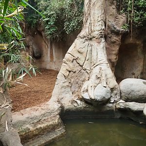 Indian rhinoceros indoor housing in Taman Indah (Nov 10th, 2018)
