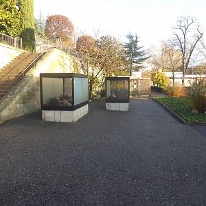 Subtropenterrassen 011218