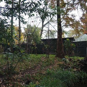 Red panda and Michie's tufted deer exhibit (Nov 10th, 2018)
