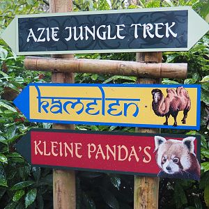 Asian section signs (Nov 10th, 2018)