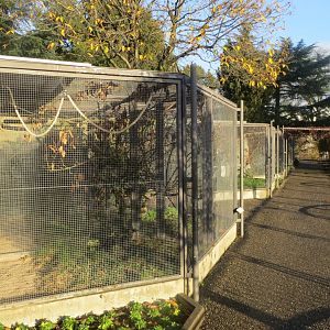 Subtropenterrassen - Aviaries 011218