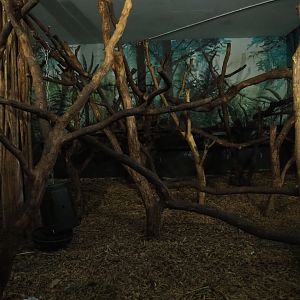 Lion-tailed macaque indoor exhibit (Nov 10th, 2018)