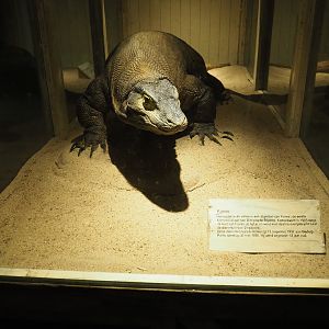 Former resident "Komo" (Nov 10th, 2018)