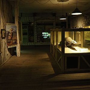 View in the Asian house (Nov 10th, 2018)