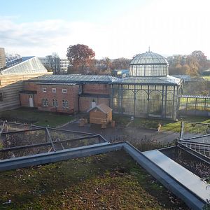 View from Subtropenterrassen 011218