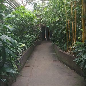 View in the tropical wing of the Rivierahal (Nov 10th, 2018)