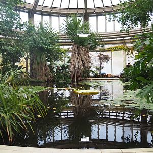 Tropical wing of the Rivierahal - Victoria greenhouse (Nov 10th, 2018)