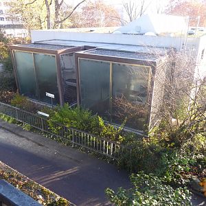 View of Javan lutung exhibits from Subtropenterrassen 011218