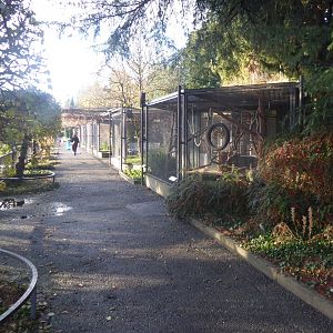 Subtropenterrassen - Aviaries 011218