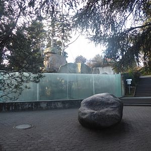 Gelada, Barbary sheep and Rock hyrax exhibit 011218