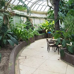 Pathway in the Victoria greenhouse in the tropical wing of the Rivierahal (Nov 10th, 2018)