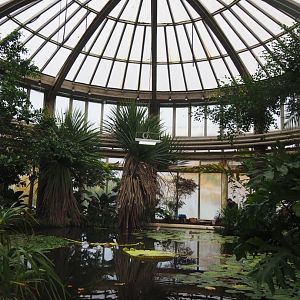 Tropical wing of the Rivierahal - Victoria greenhouse with dome (Nov 10th, 2018)