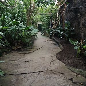 View in the tropical wing (Nov 10th, 2018)