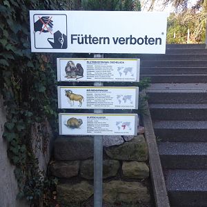 Signage example 011218