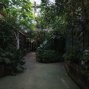 View in the tropical wing of the Rivierahal (Nov 10th, 2018)