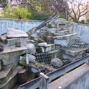Japanese macaque exhibit 011218