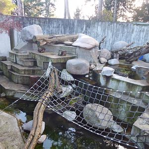 Japanese macaque exhibit 011218