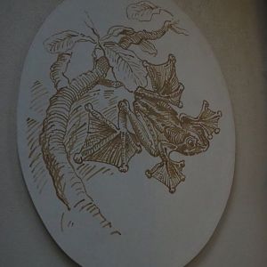 Flying frog artwork (Nov 10th, 2018)