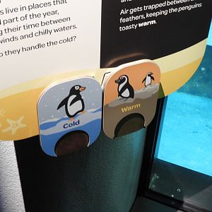 The Infamous Opposites Sign