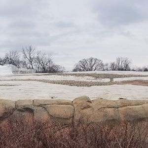 Jan. 2019 - Arctic Ring of Life - Pack Ice Polar Bear Exhibit
