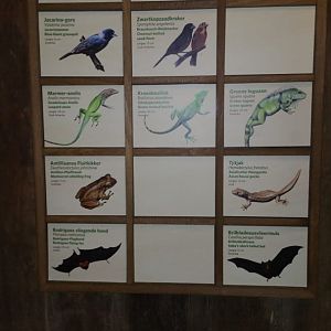 New signage Bird-house in Burgers'Bush Part 3