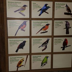 New signage Bird-house in Burgers'Bush Part 2