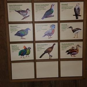 New signage Bird-house in Burgers'Bush Part 1