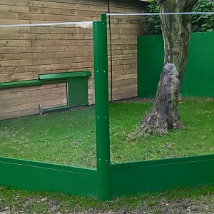 Komodo Dragon Outdoor Enclosure