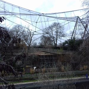 Work in the Snowdon Aviary 12/01/2019