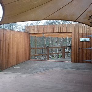 Gibbon enclosure 12/01/2019