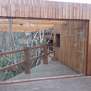 Gibbon enclosure 12/01/2019