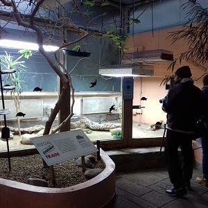 Blackburn Pavilion 12/02/2019