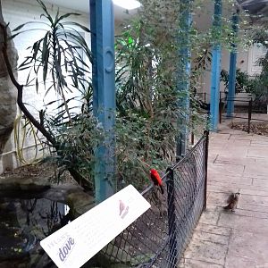 Blackburn Pavilion 12/02/2019