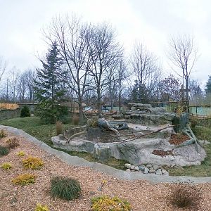 Jan. 2019 - New! Red Panda Forest - Left Exhibit