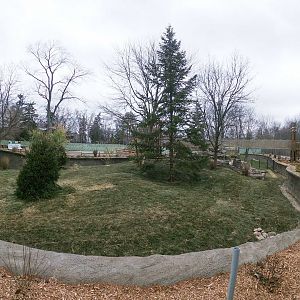 Jan. 2019 - New! Red Panda Forest - Left Exhibit