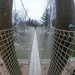 Jan. 2019 - New! Red Panda Forest - Bridge