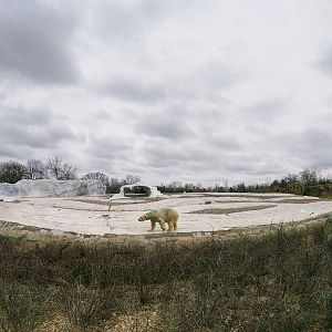 Jan. 2019 - The Arctic Ring of Life - 0.7 Acre Pack Ice Habitat