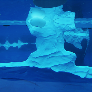 Jan. 2019 - The Arctic Ring of Life - Polar Bear + Seal Predator & Prey Setup