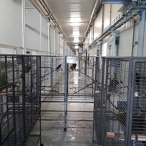 Indoor-enclosures blocked by some holding-cages