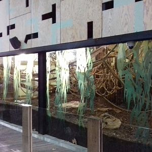 Gorilla Kingdom 12/01/2019