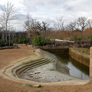 Islands - 13/01/2019