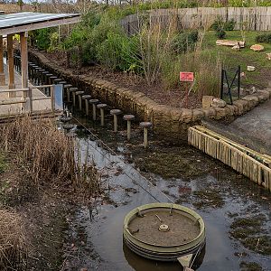 Islands - 13/01/2019